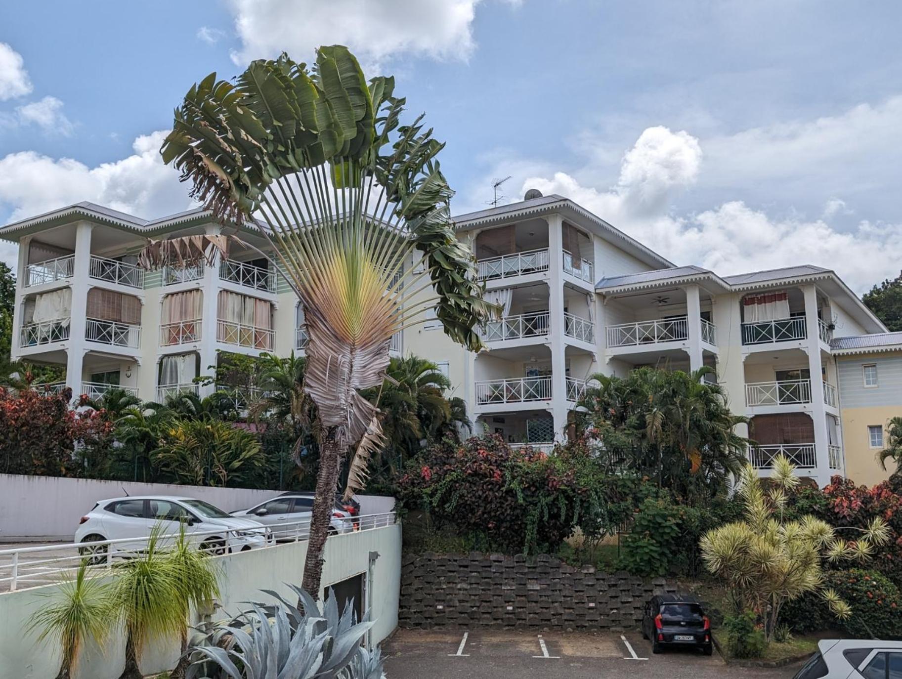 Studio Ti Plezi 26M A 2 Pas Marina Du Marin Climatise Parking Le Marin Exteriör bild